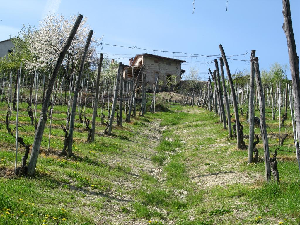 B&B Acaso Serralunga d'Alba Luaran gambar