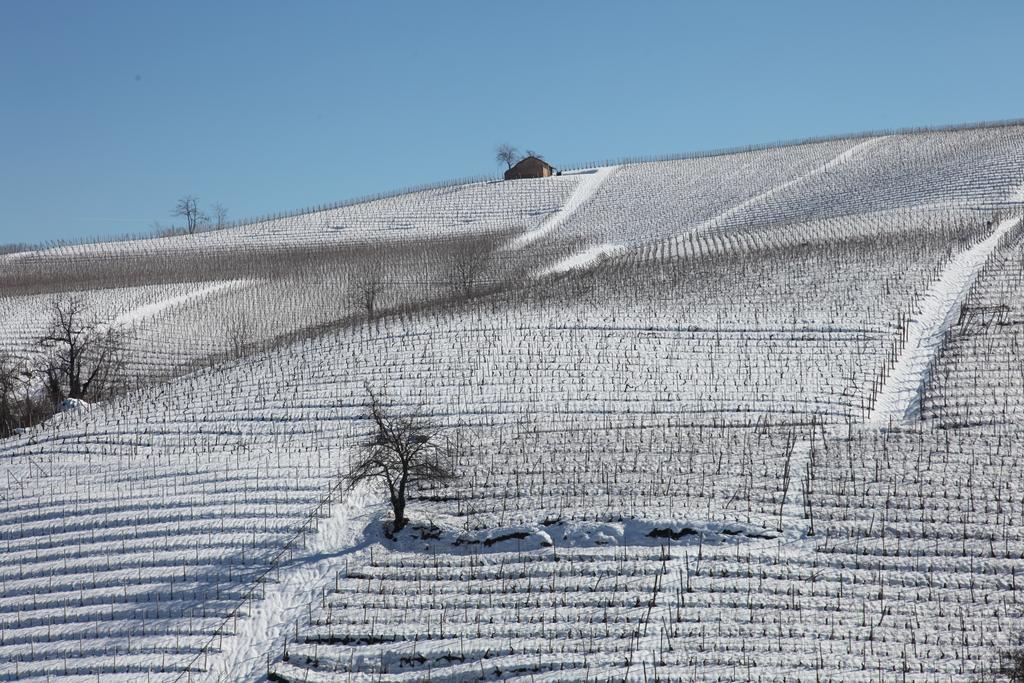 B&B Acaso Serralunga d'Alba Luaran gambar